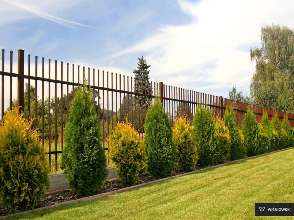 ploty classic wisniowski poprad